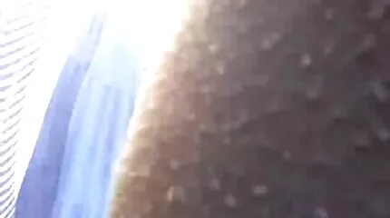 Felkapott egy szamár szőkét a pályán, és erotikus film magyarul a kibaszott után végzett.