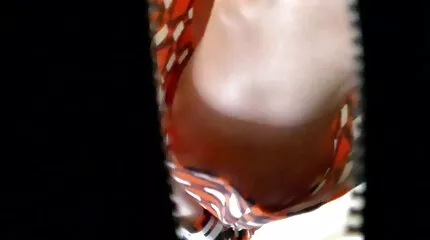 A swingerek előszeretettel cumáznak a barátnőik ingyen erotikus filmek szájába csoportos szex közben.